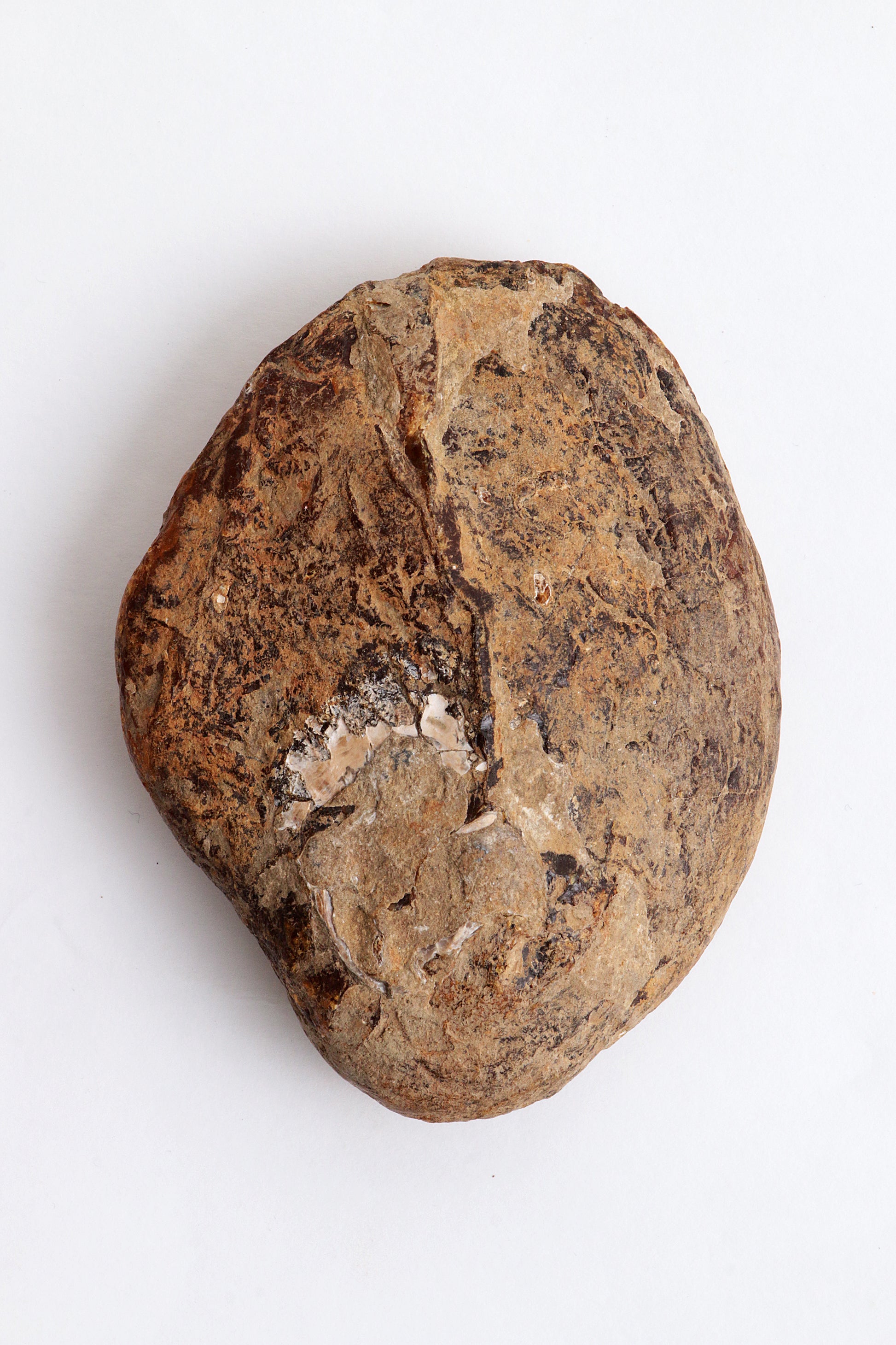 Grote Ambersteen mooie edelsteen