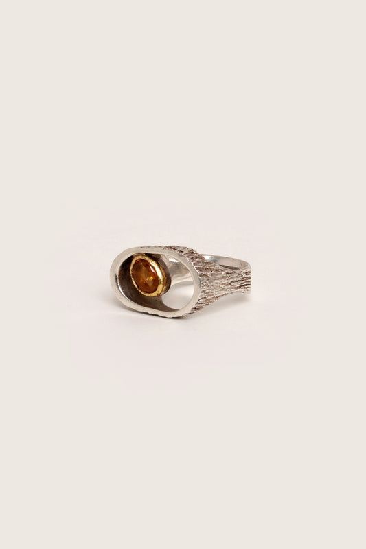 Zilveren ring hand gesmeed Alexander van den Hoven,Nederland