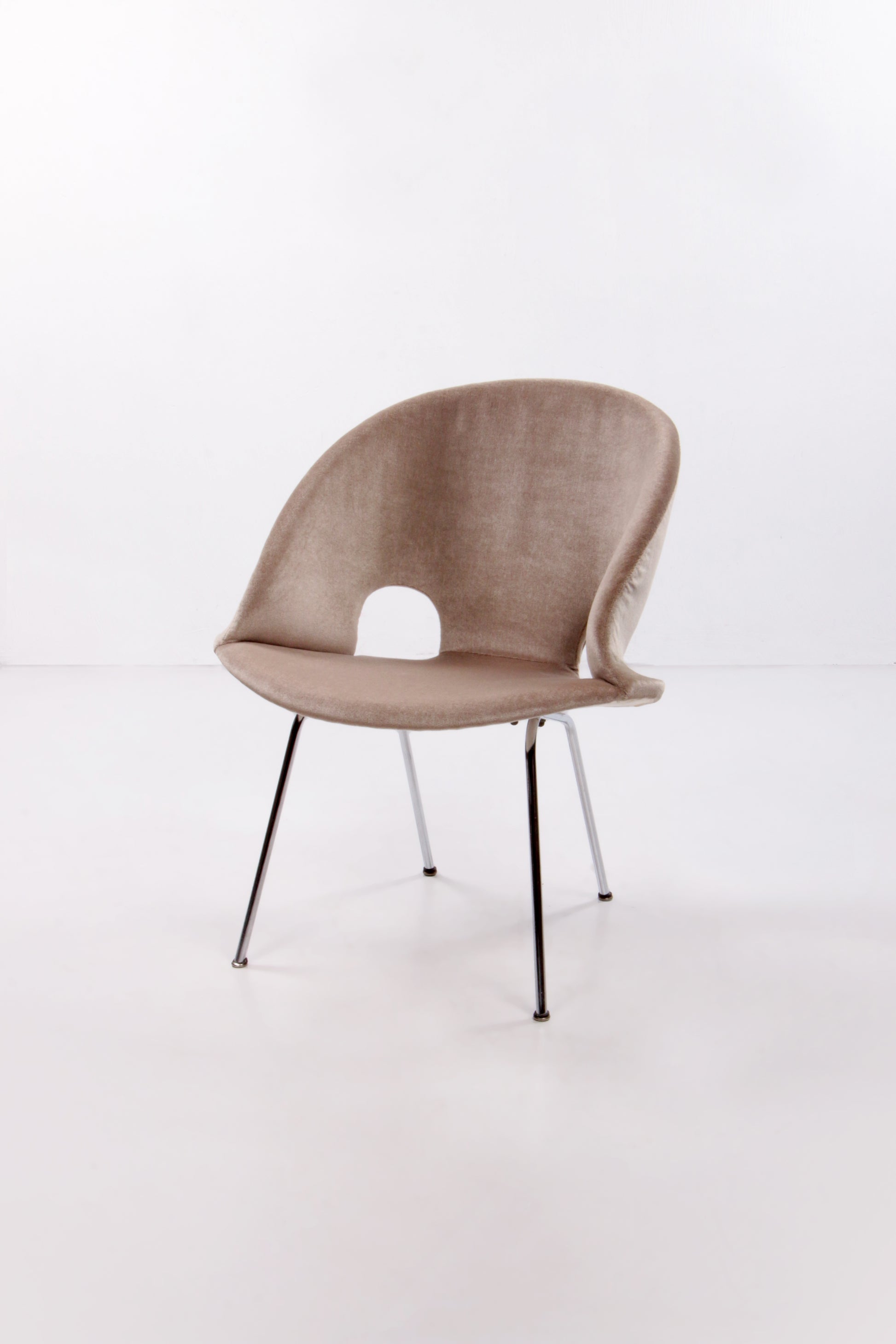 Model 350 Lounge Chair by Arno Votteler for Walter Knoll, 1950s