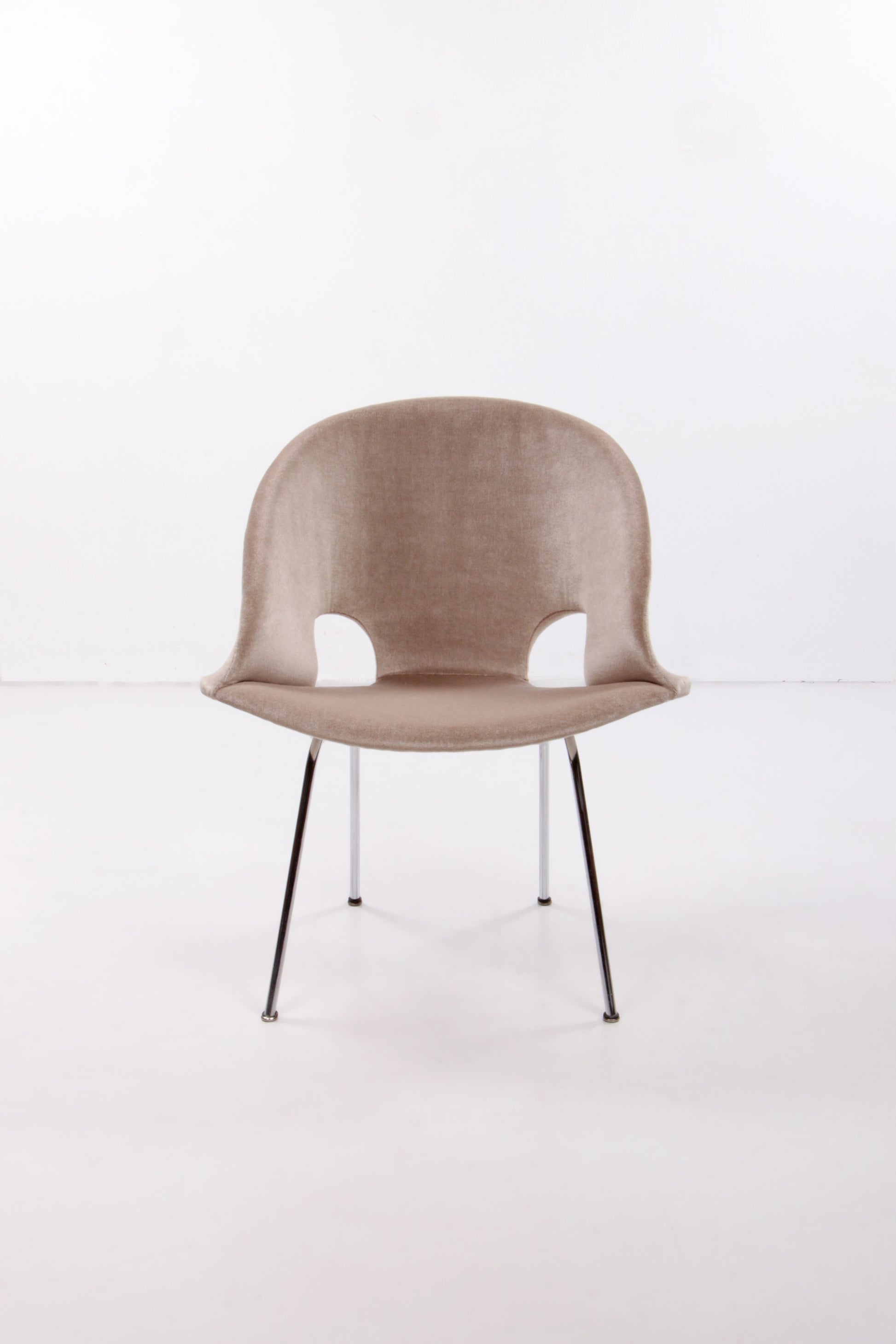 Model 350 Lounge Chair by Arno Votteler for Walter Knoll, 1950s