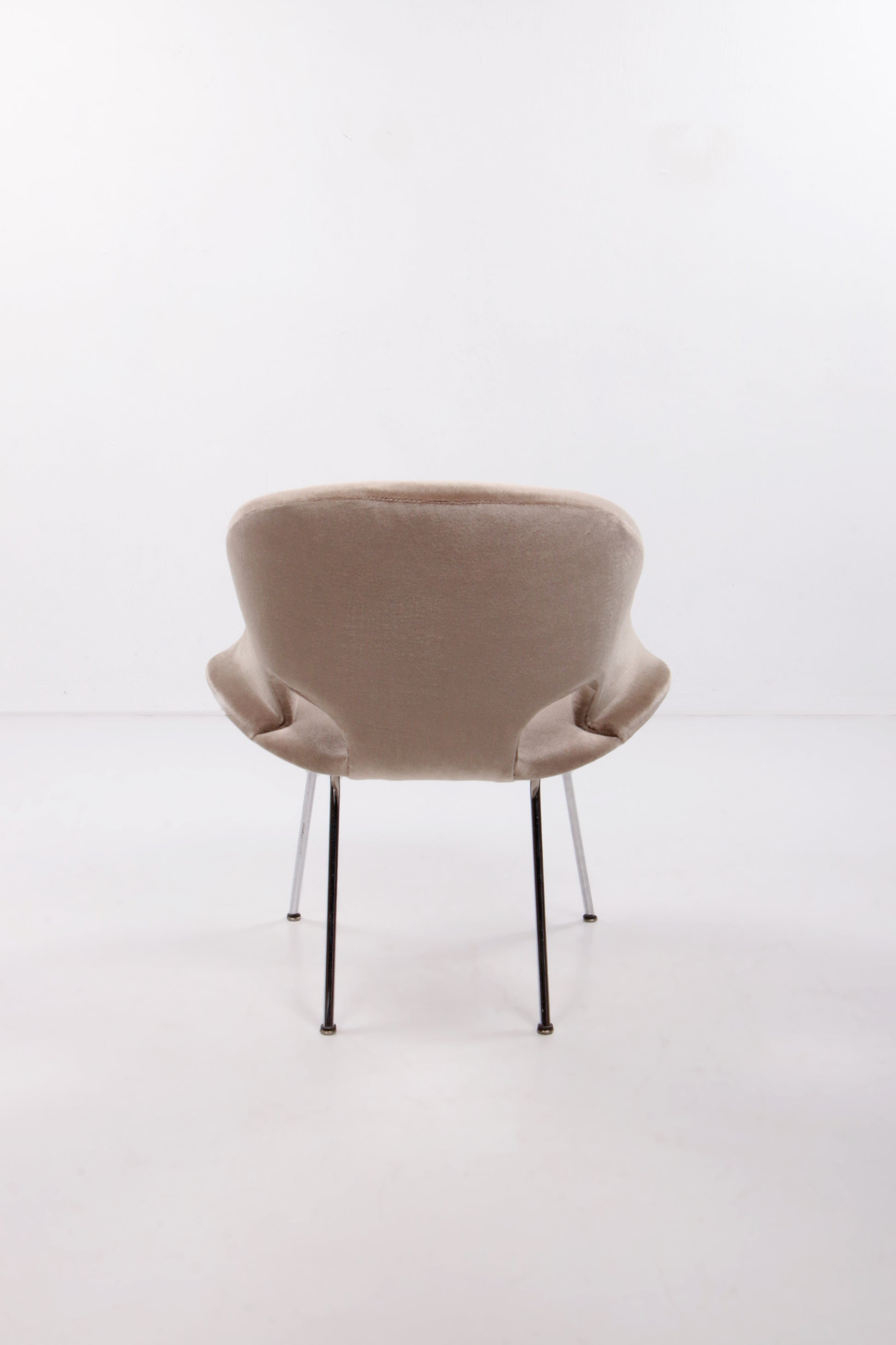 Model 350 Lounge Chair by Arno Votteler for Walter Knoll, 1950s