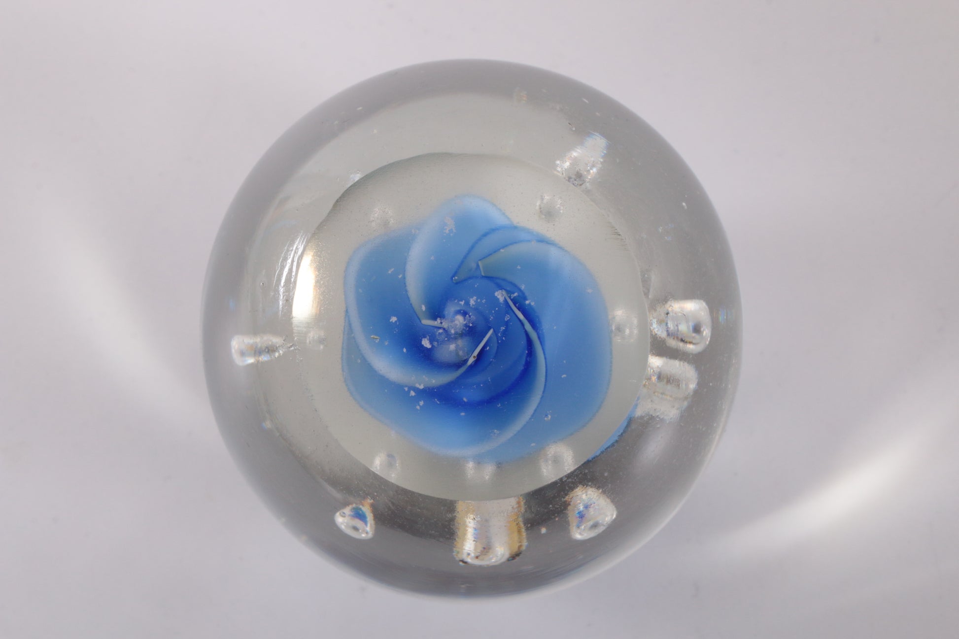 Glas aquarium Paperweight met vissen