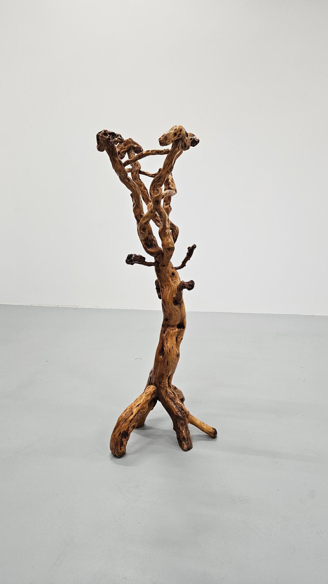 Sculptural Oak Coat Rack – A Functional Work of Nature Italy 60