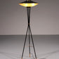 Mid-Century Italian Floor Lamp from Stilnovo, 1950s