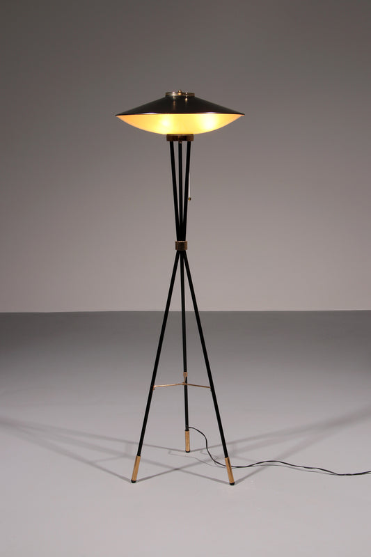 Mid-Century Italian Floor Lamp from Stilnovo, 1950s