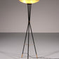 Mid-Century Italian Floor Lamp from Stilnovo, 1950s