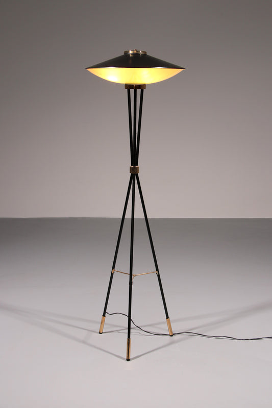 Mid-Century Italian Floor Lamp from Stilnovo, 1950s