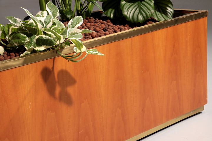 Luxury Lighted Planter on Wheels – Modern Room Divider 1960 Italy