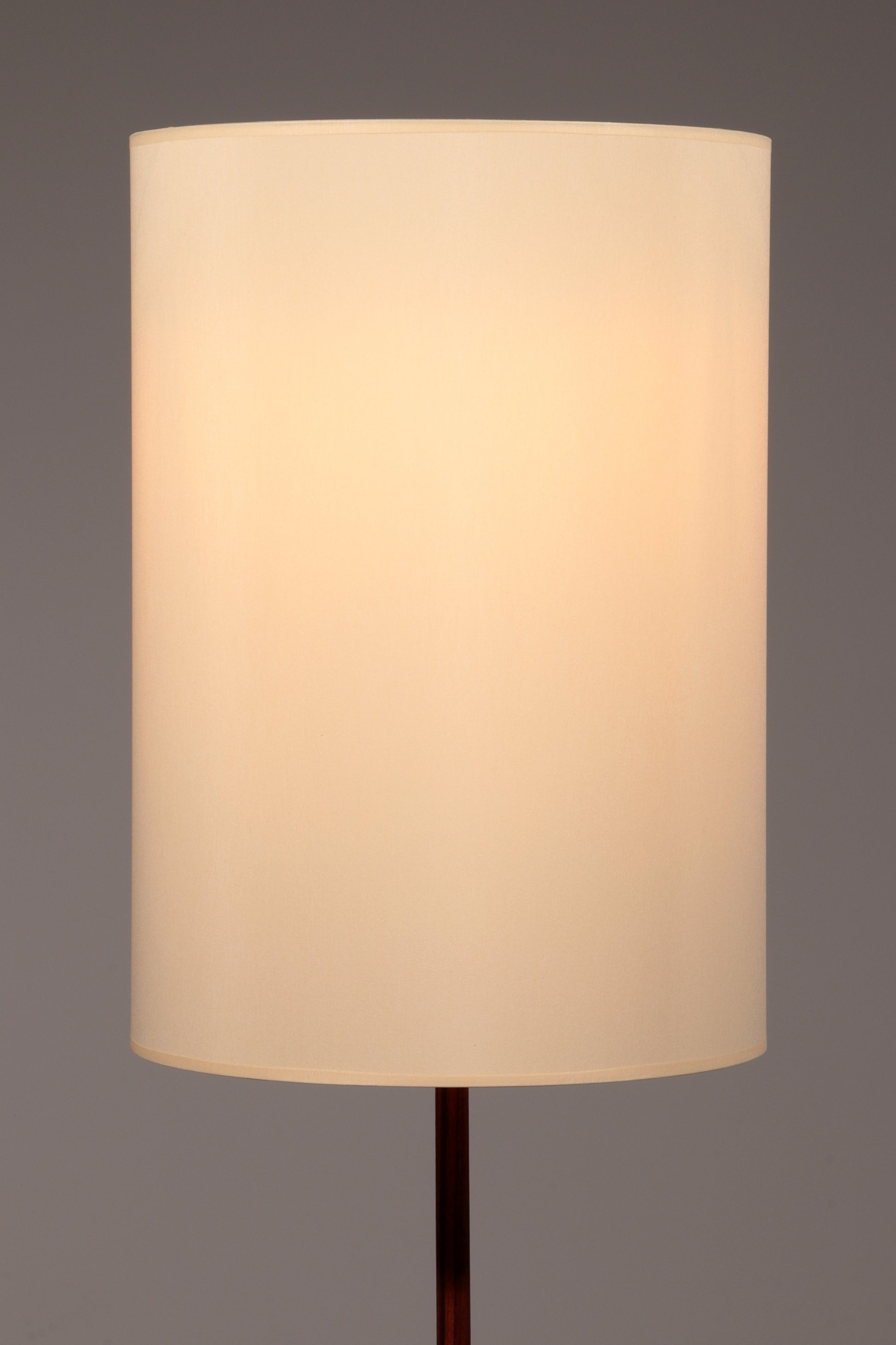 Temde Teak & Metal Floor Lamp with New Custom Shade – 1960s Elegance