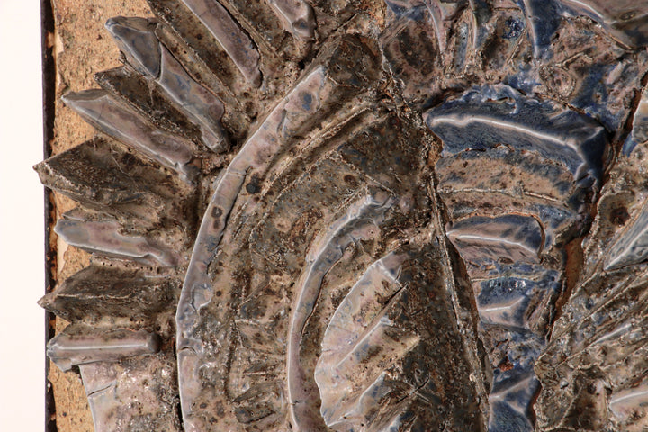 Very rare and Large Wall Till from Tue Poulsen 1970