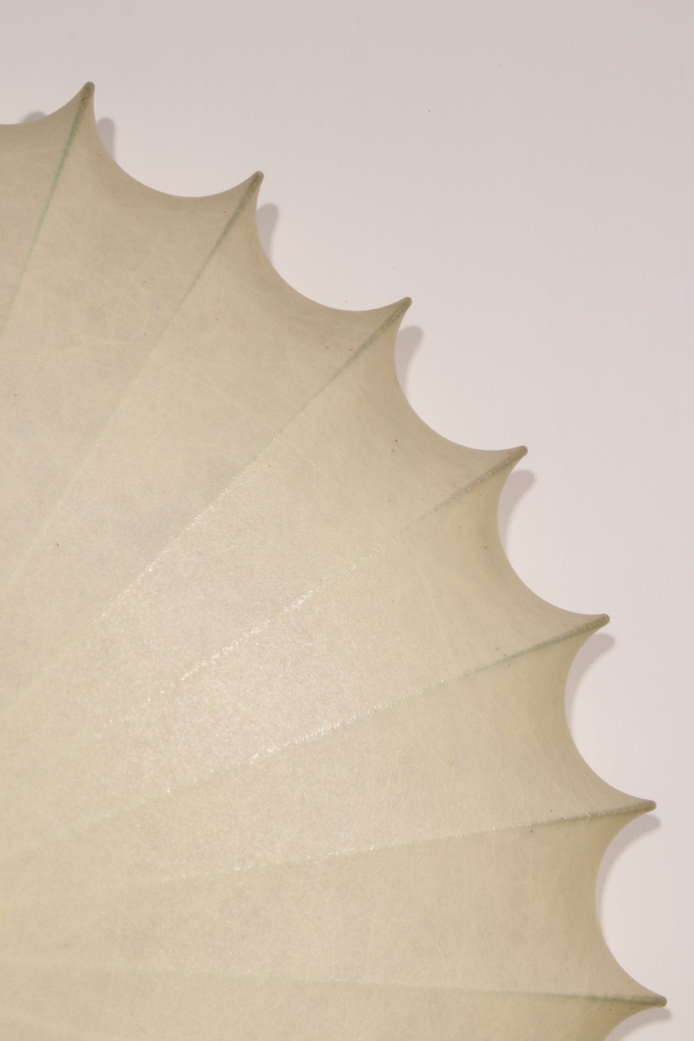 Sculptural Cocoon Light – Mid-Century Goldkant Wall & Ceiling Lamp by Friedel Wauer