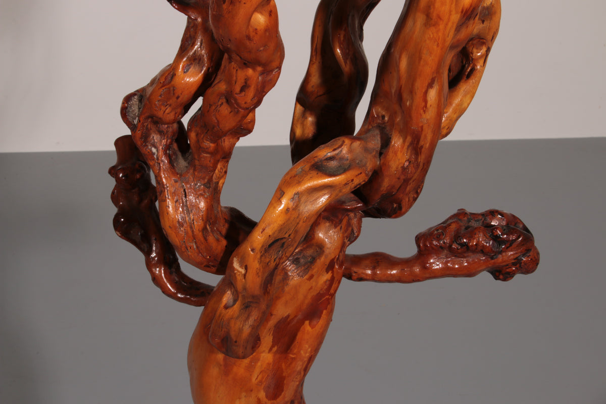 Sculptural Oak Coat Rack – A Functional Work of Nature Italy 60