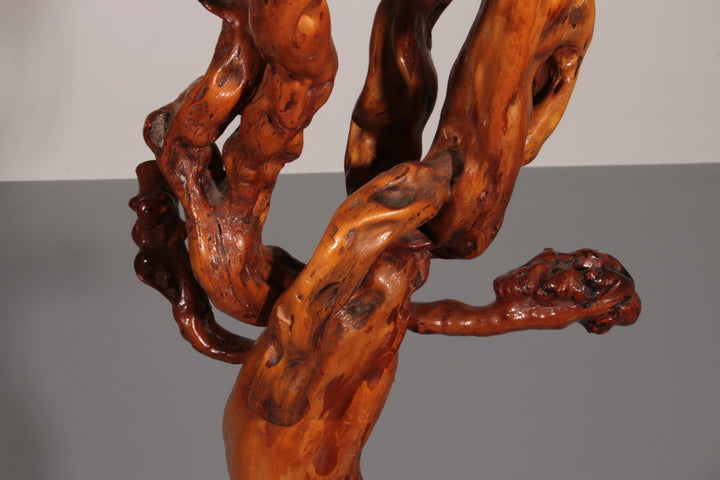 Sculptural Oak Coat Rack – A Functional Work of Nature Italy 60