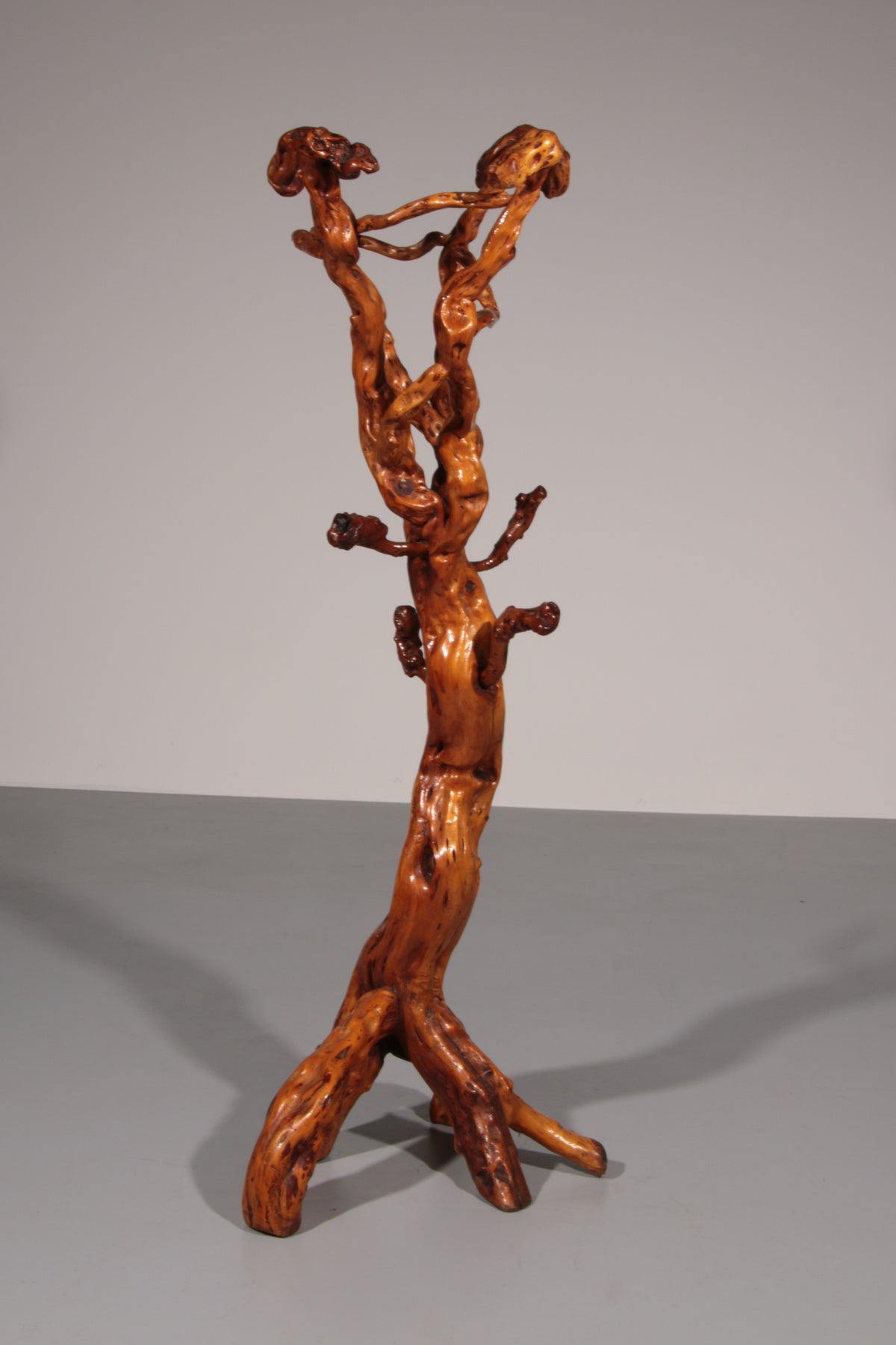 Sculptural Oak Coat Rack – A Functional Work of Nature Italy 60