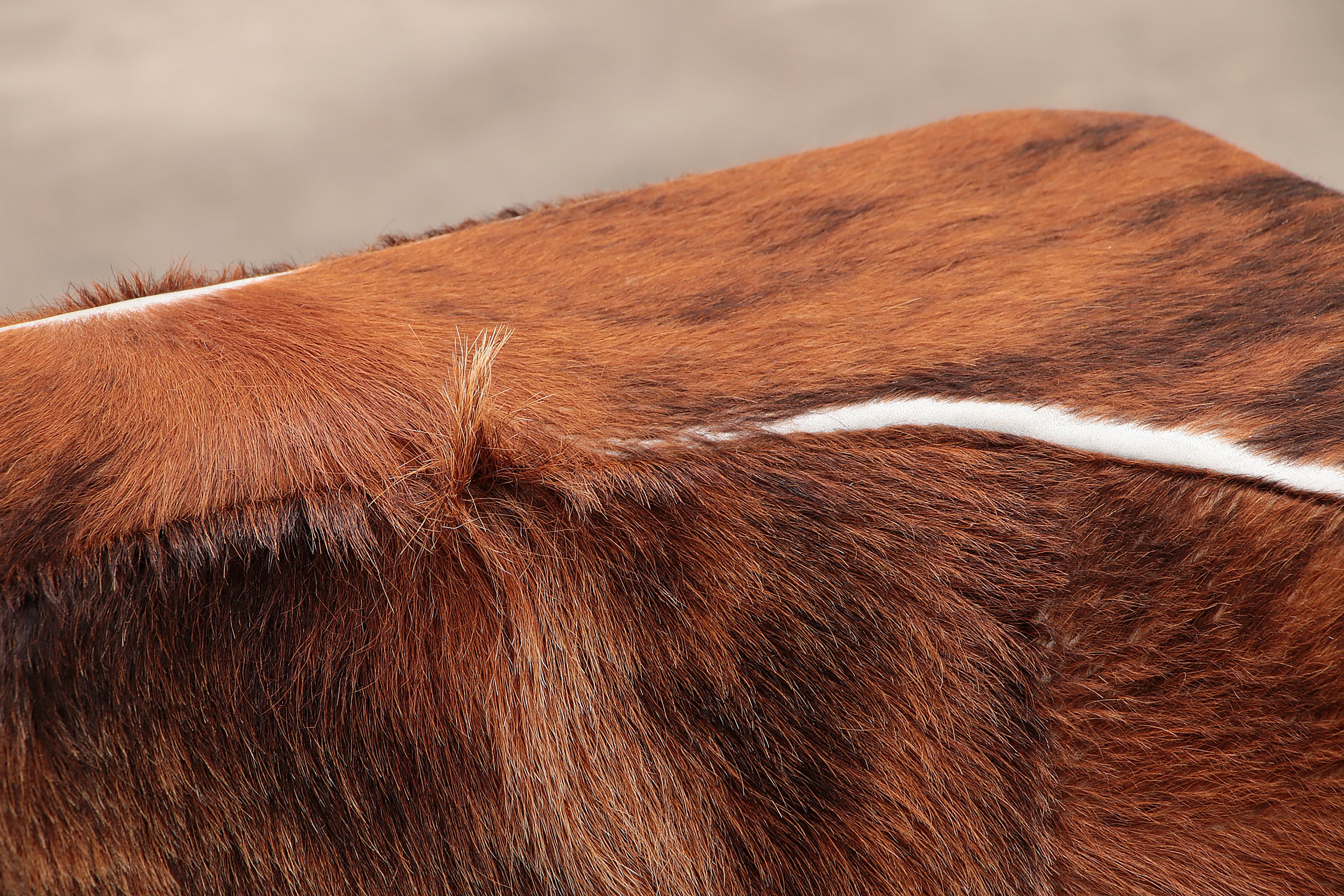Vintage set van twee koeienhuid fauteuils,1970.