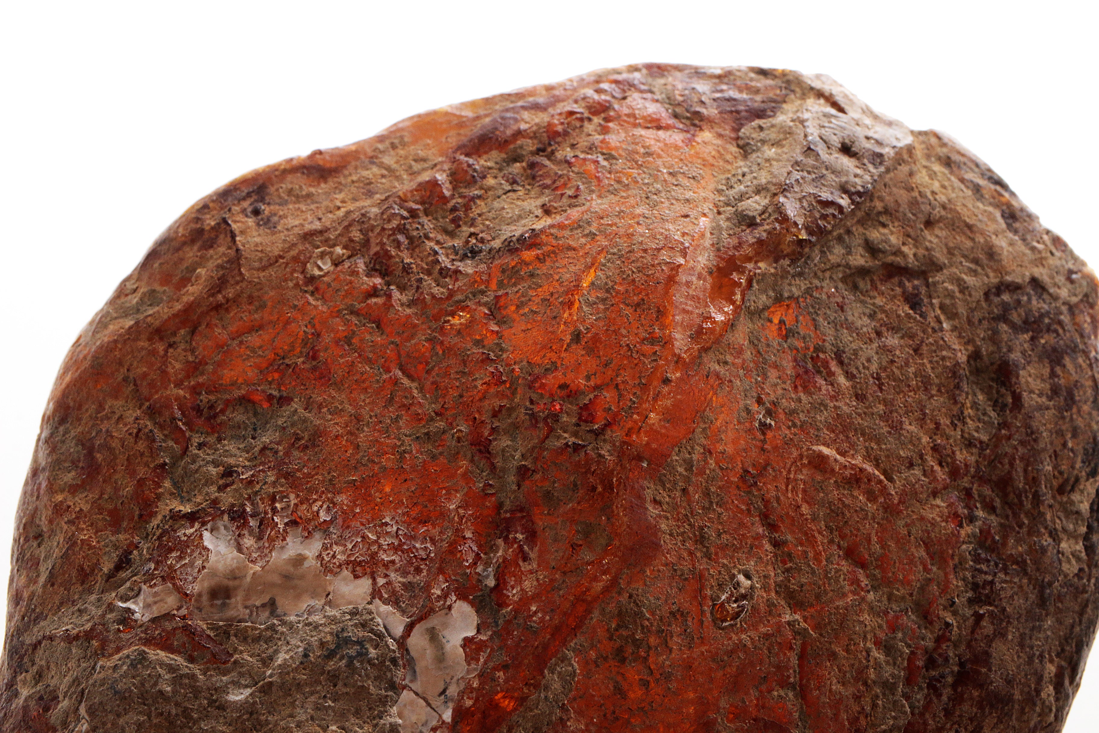 Grote Ambersteen mooie edelsteen