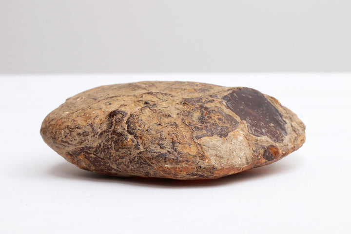 Grote Ambersteen mooie edelsteen