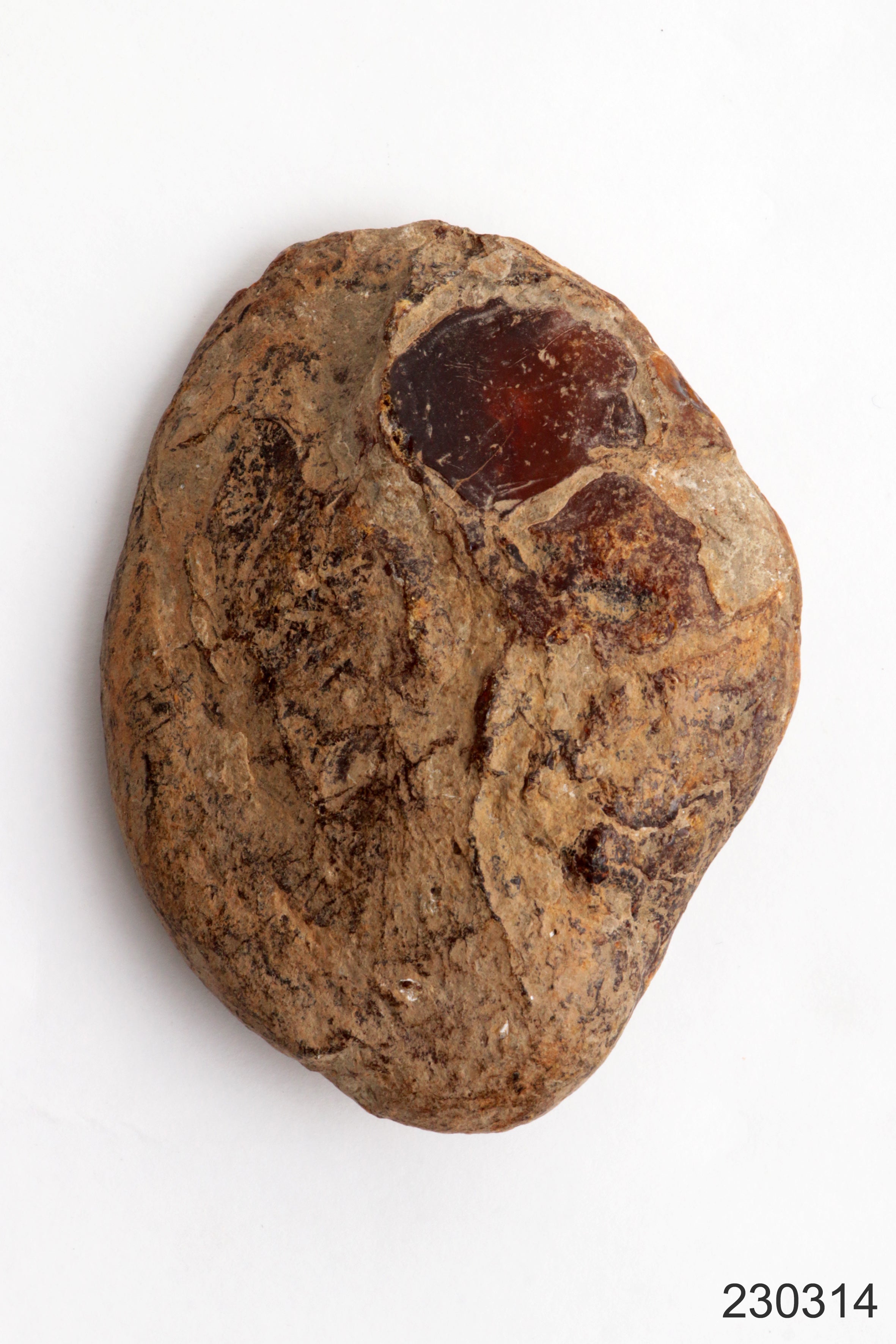 Grote Ambersteen mooie edelsteen