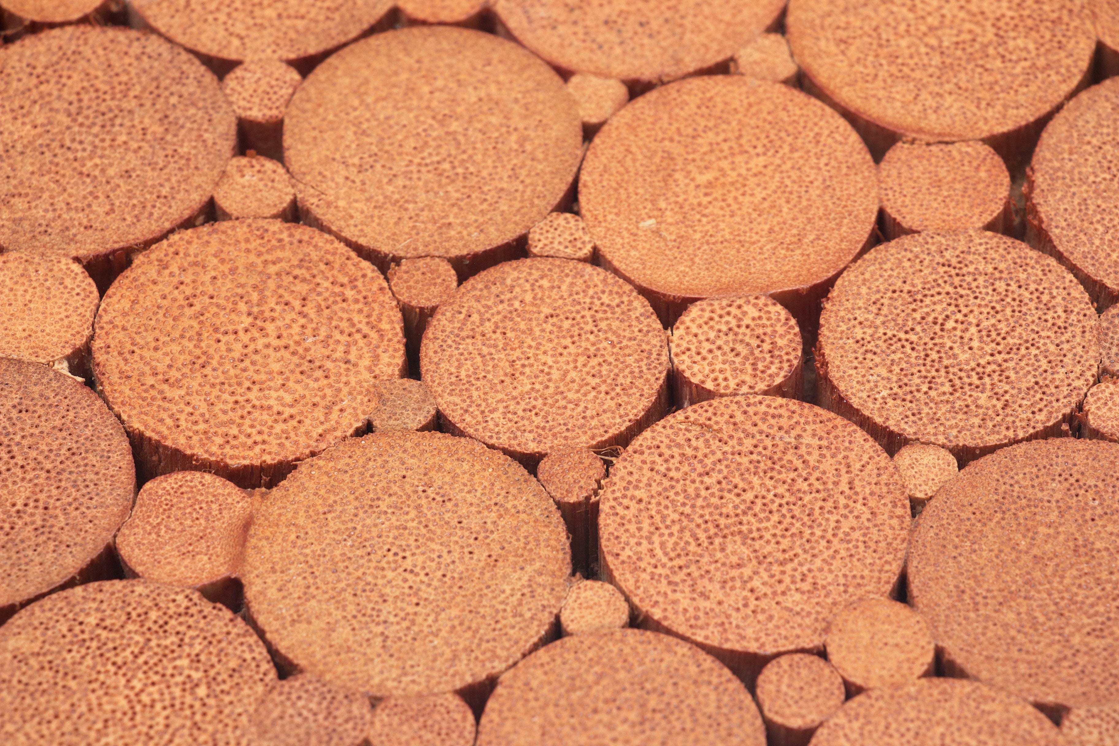 Bohemian Bamboe Mcguire  eettafel set met 6 palmblad stoelen,1960 Frankrijk.