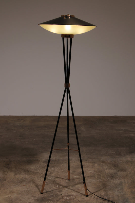 Mid-Century Italian Floor Lamp from Stilnovo, 1950s