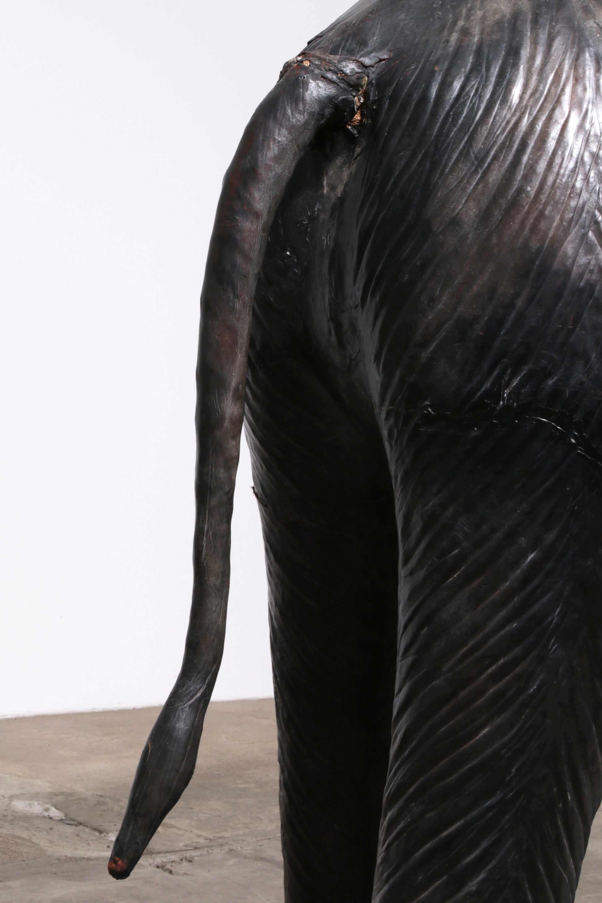 Lifelike leather Elephant rare decor material from France early 60s
