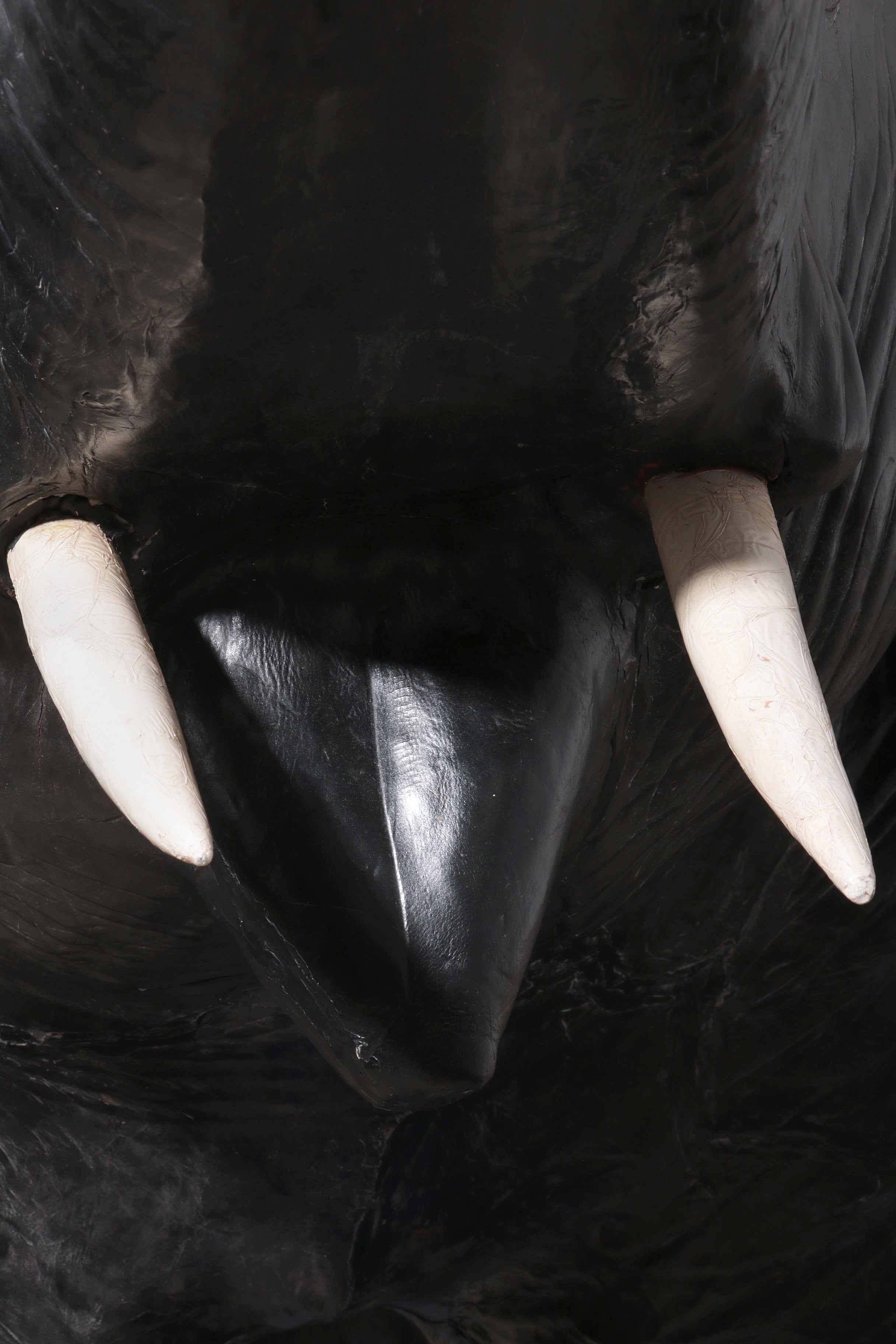 Lifelike leather Elephant rare decor material from France early 60s