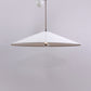 Iconic 1960s Counterweight Pendant Lamp by Goffredo Reggiani