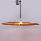 Iconic 1960s Counterweight Pendant Lamp by Goffredo Reggiani