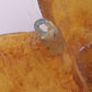 Wall Decoration Lamp Design by Matius Made of Resin, 1970 France