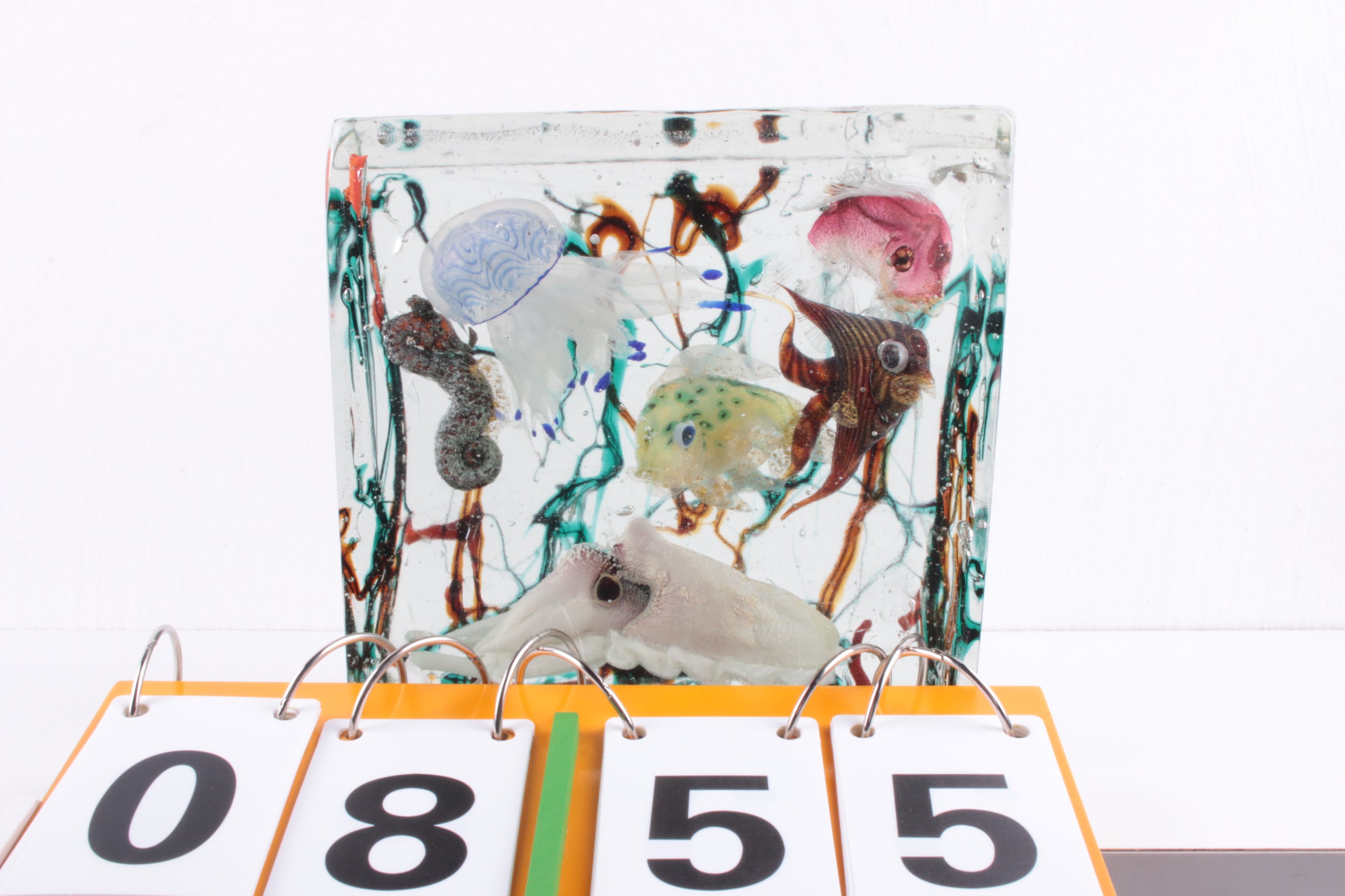 Zeer groot Murano-aquarium Alfredo Barbini voor Cenedese, circa 1960 voorkant