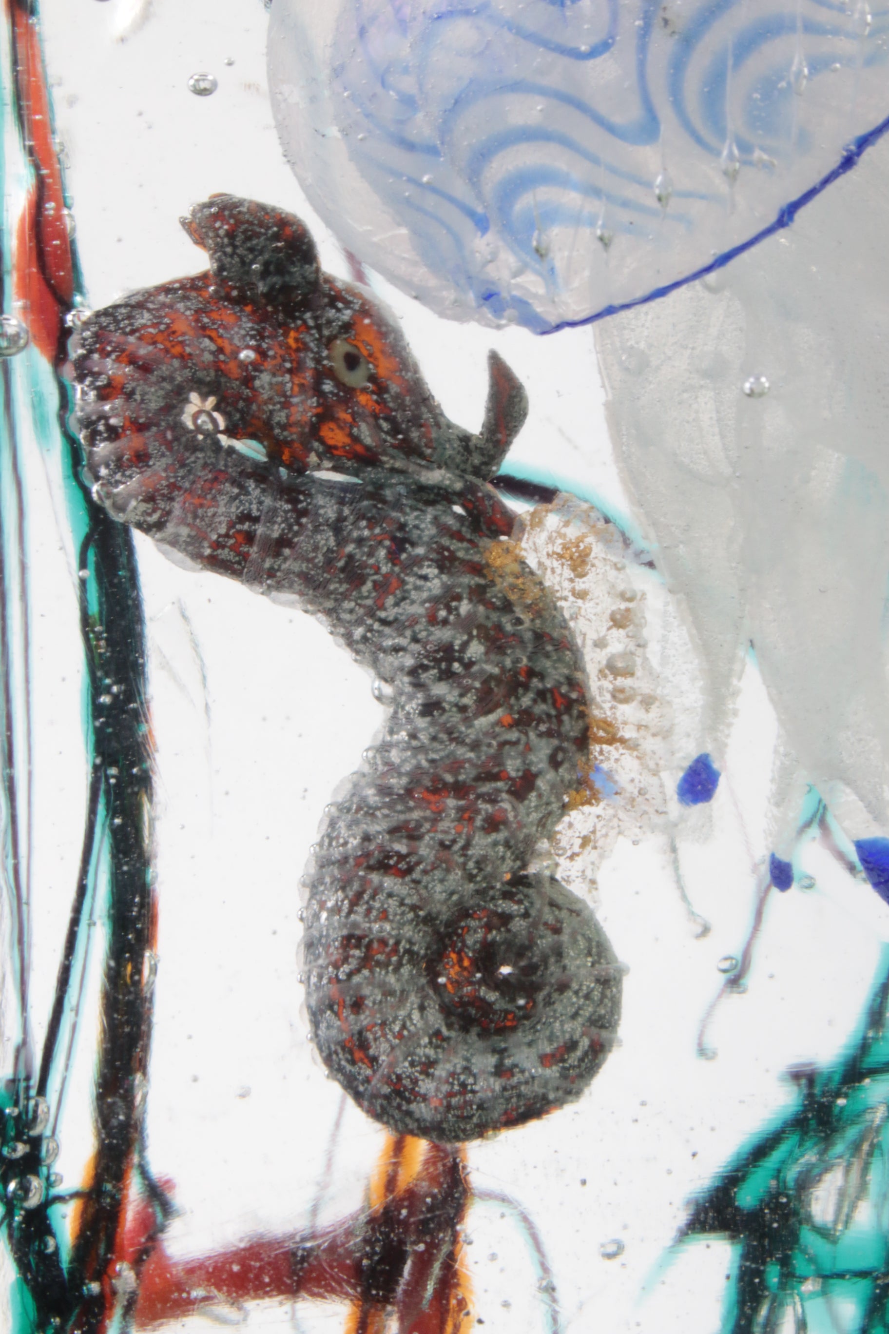 Zeer groot Murano-aquarium Alfredo Barbini voor Cenedese, circa 1960 detail zeepaardje