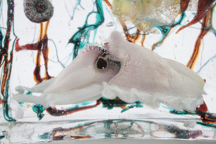 Zeer groot Murano-aquarium Alfredo Barbini voor Cenedese, circa 1960 detail inktvis