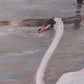 Schilderij 'Poldergezicht met zwaan