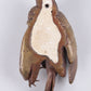 Bronzen mus, Gesingeerd door H. Parvis