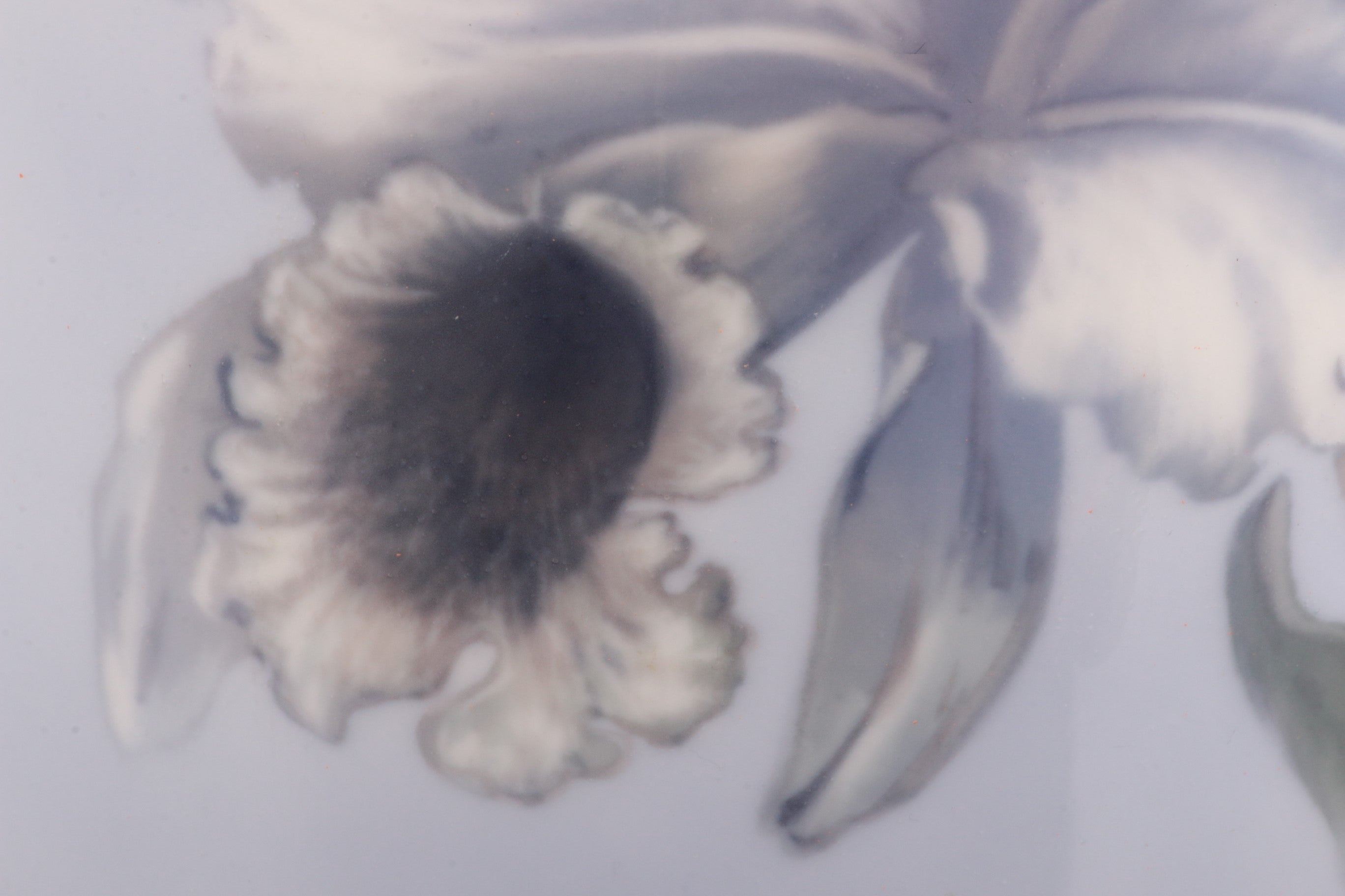 Royal Copenhagen Grote Vaas van porselein beschilderd met de trompetbloem.