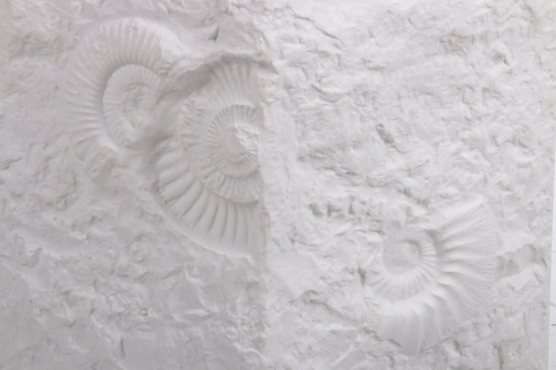 Grote AK Kaiser porseleinen vaas, witte ammoniet schelp fossiel patroon.