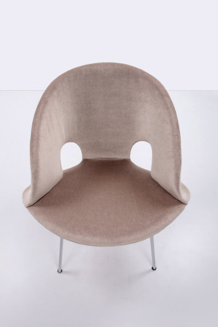 Model 350 Lounge Chair by Arno Votteler for Walter Knoll, 1950s