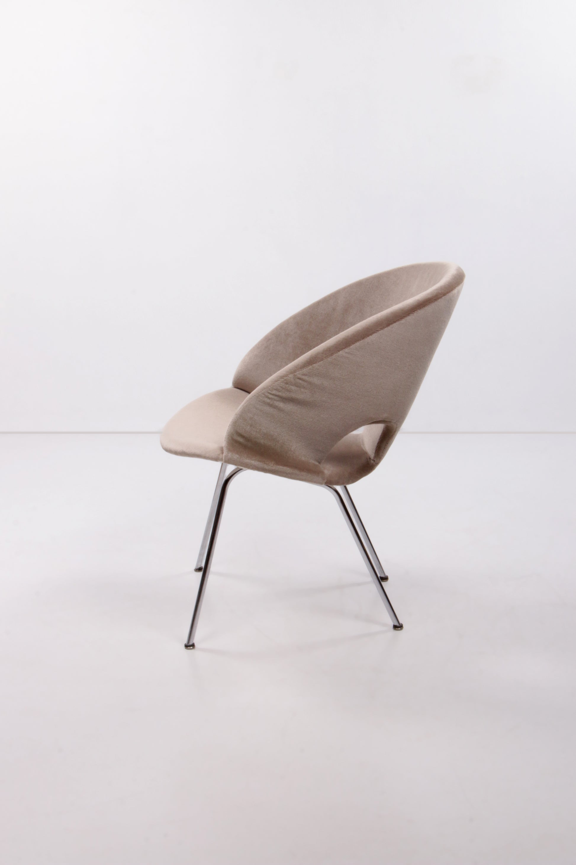 Model 350 Lounge Chair by Arno Votteler for Walter Knoll, 1950s