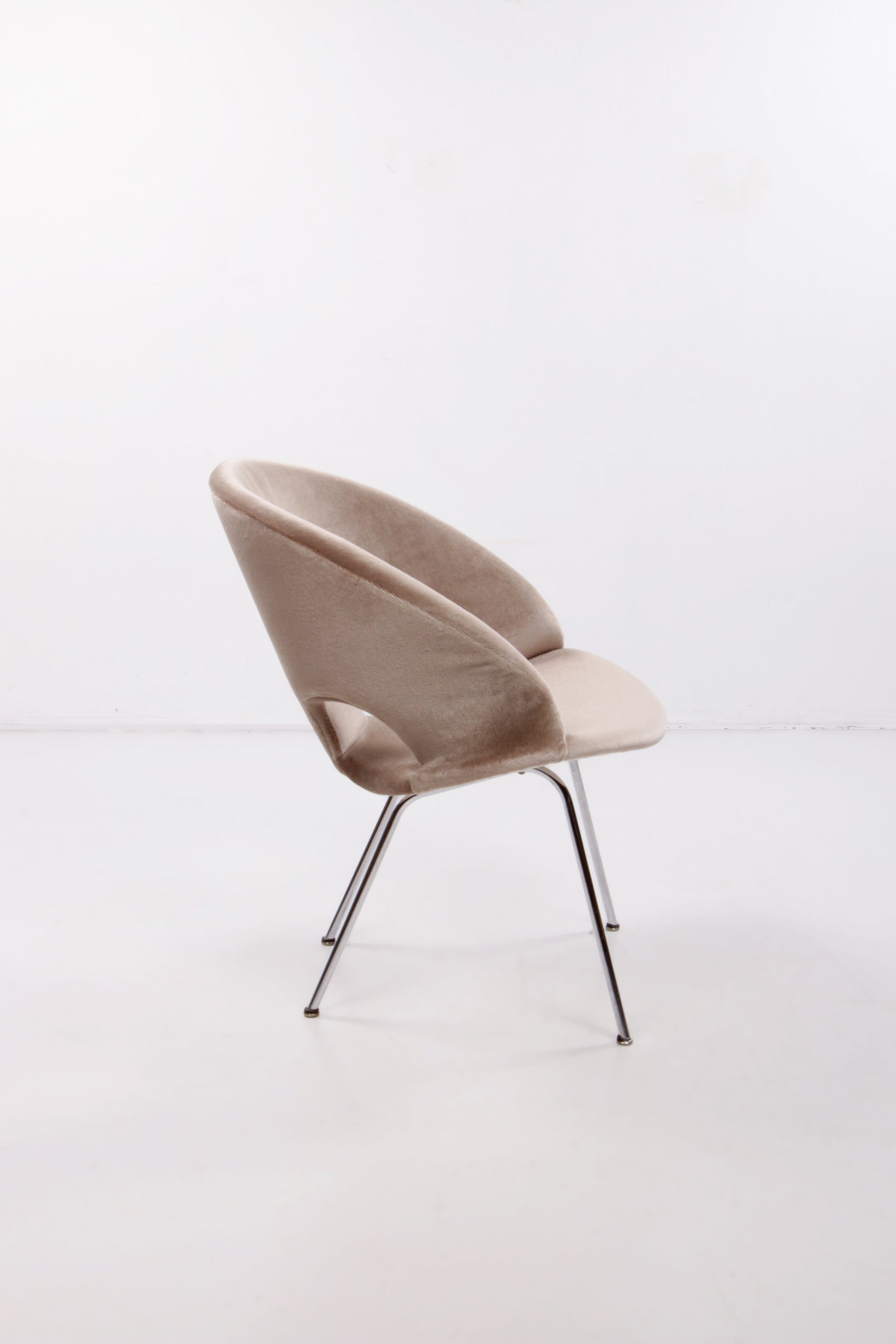 Model 350 Lounge Chair by Arno Votteler for Walter Knoll, 1950s
