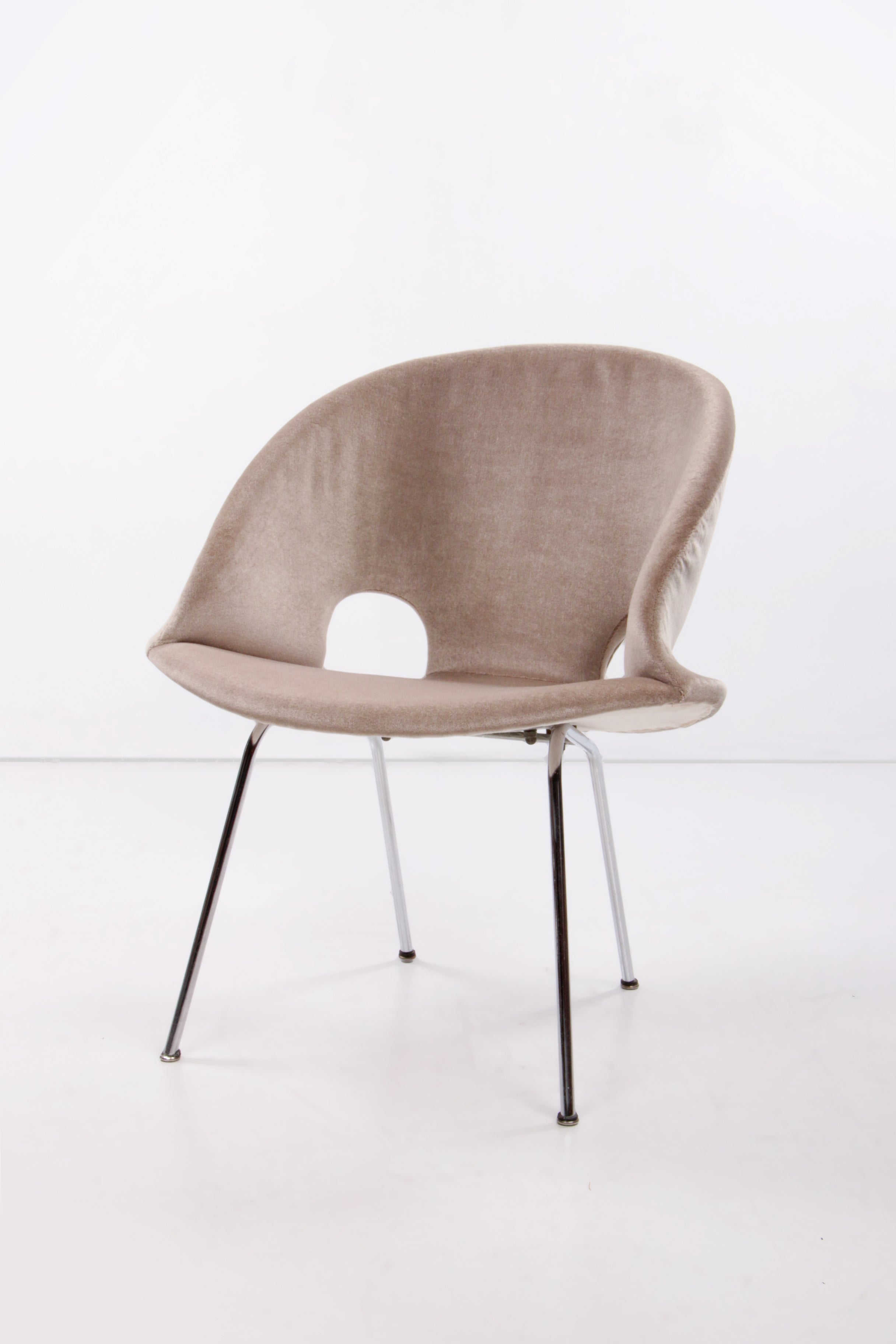 Model 350 Lounge Chair by Arno Votteler for Walter Knoll, 1950s