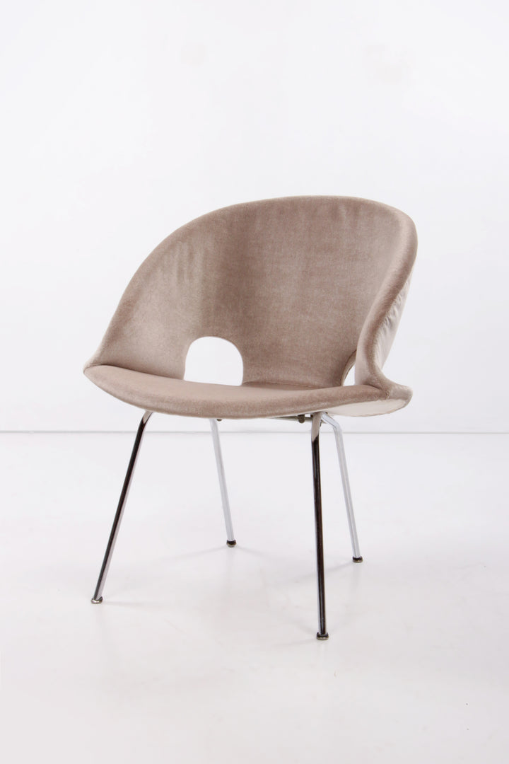 Model 350 Lounge Chair by Arno Votteler for Walter Knoll, 1950s