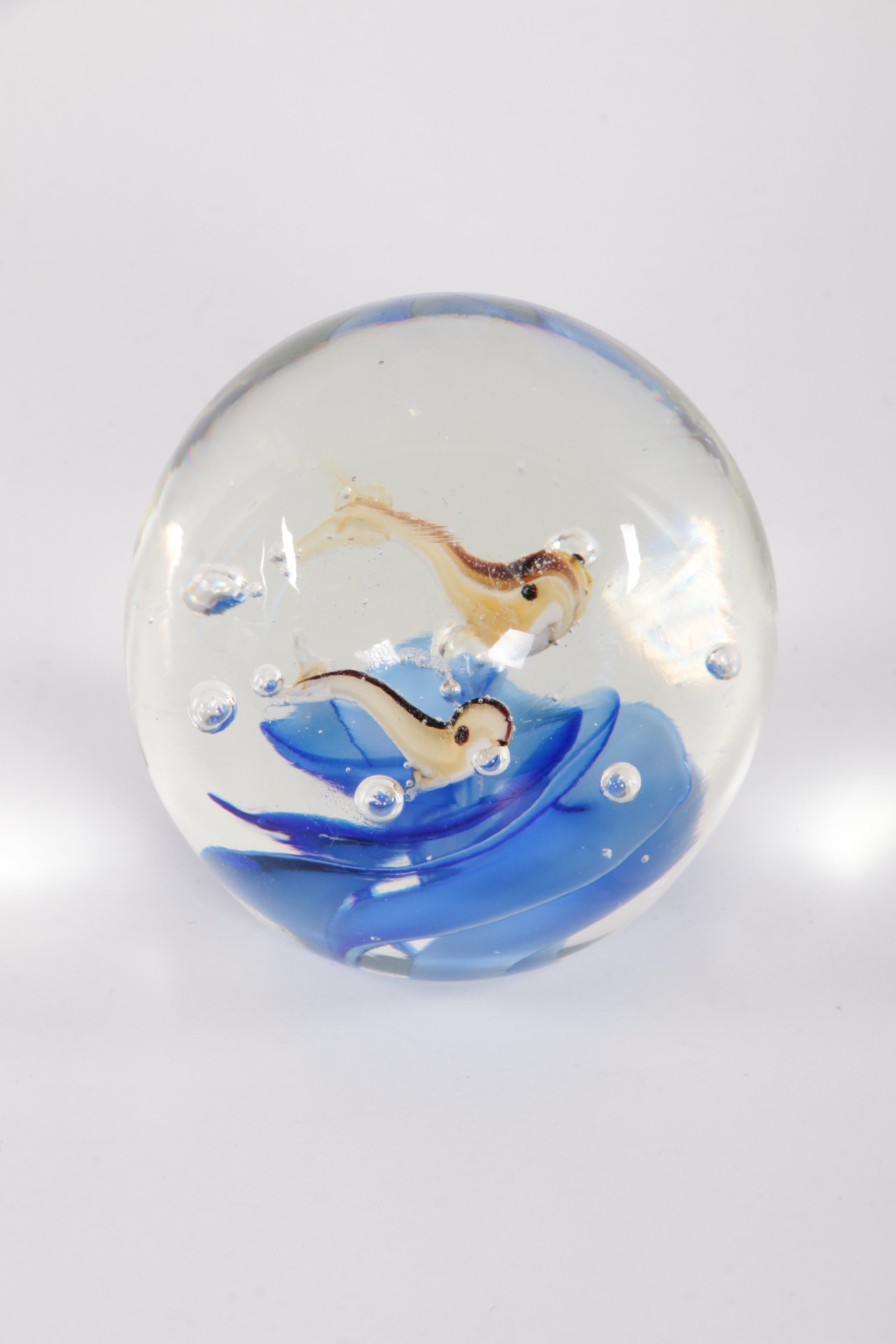 Glas aquarium Paperweight met vissen