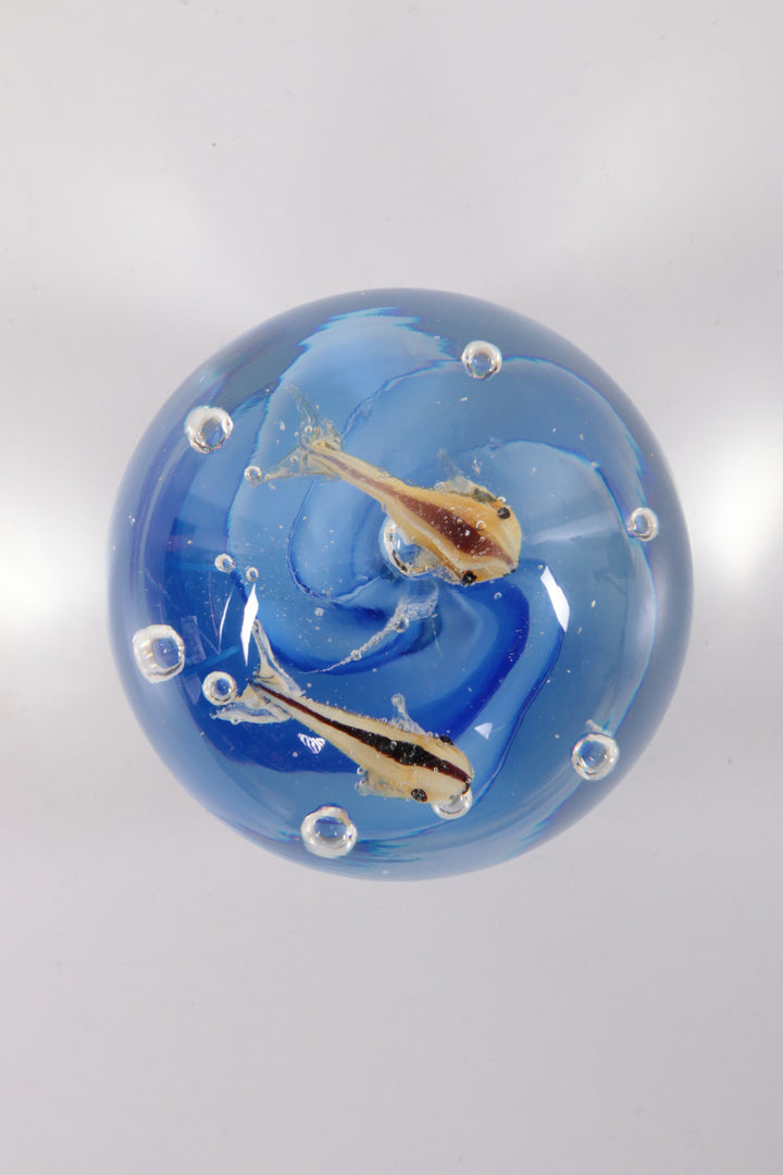 Glas aquarium Paperweight met vissen