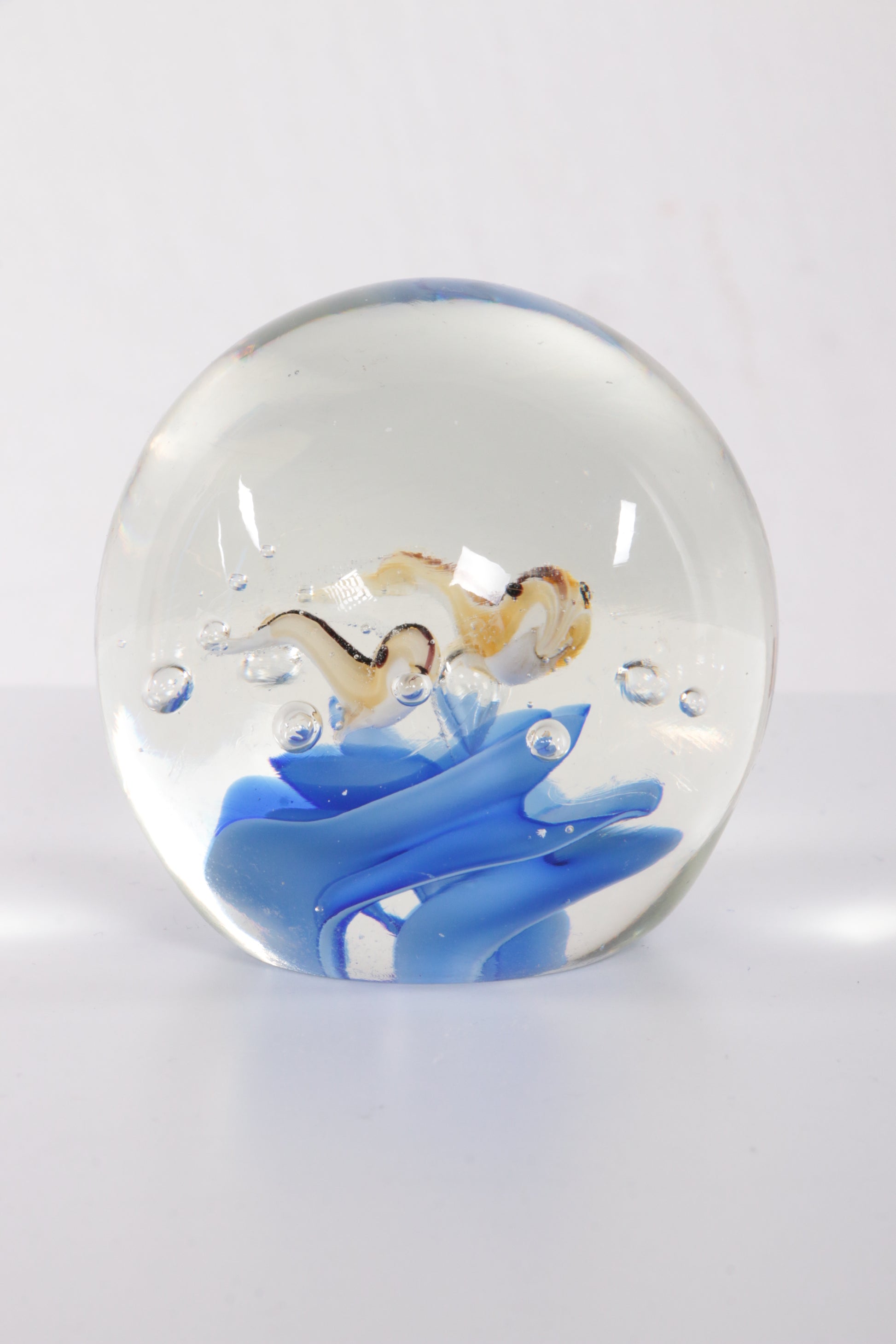 Glas aquarium Paperweight met vissen