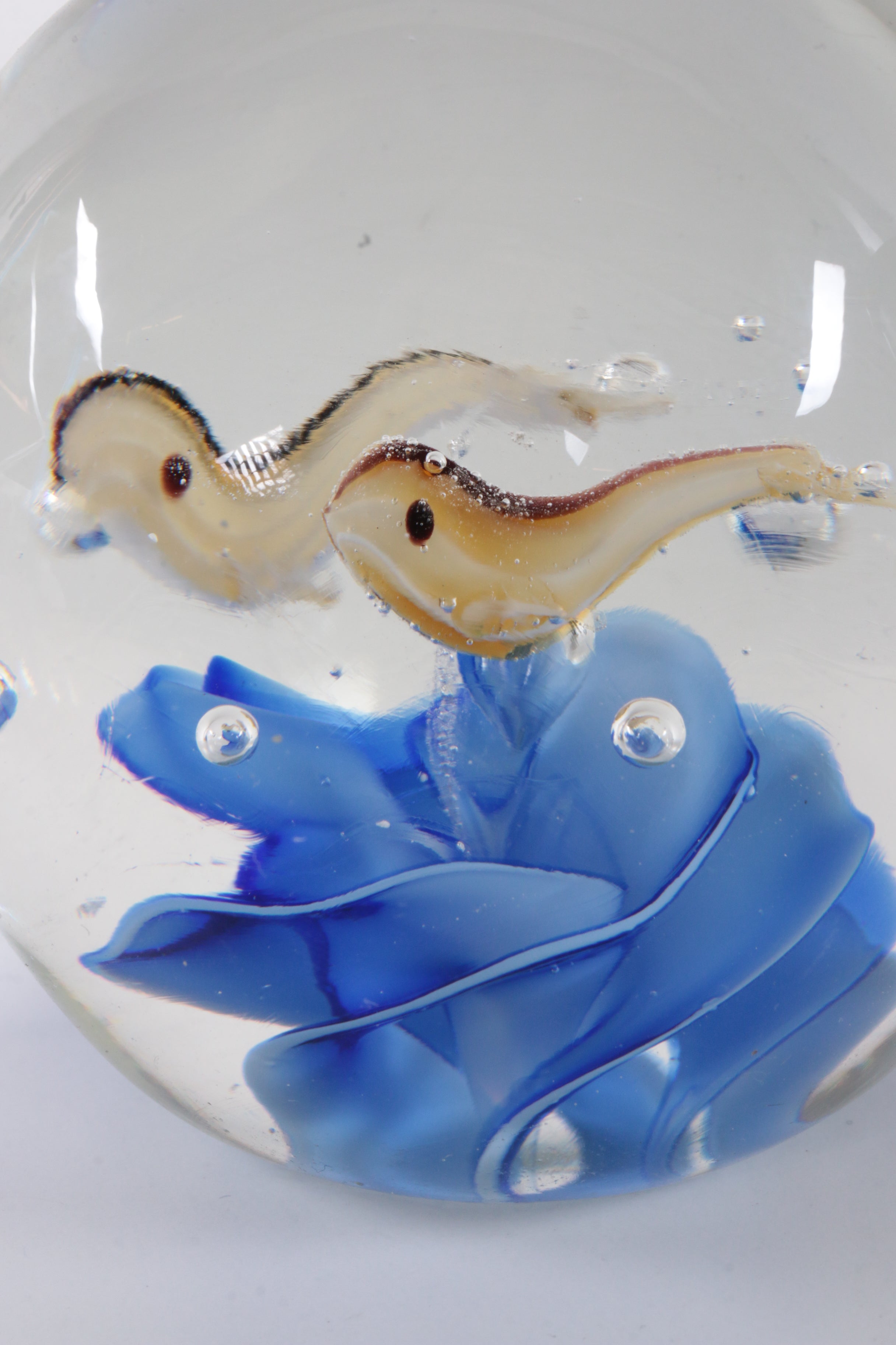 Glas aquarium Paperweight met vissen