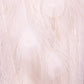 Mooie Sierlijke Opgezette witte pauw close-up veren staart