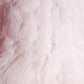 Mooie Sierlijke Opgezette witte pauw close-up veren rug