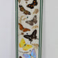 Vlinders in houten lijst Taxidermy voorkant