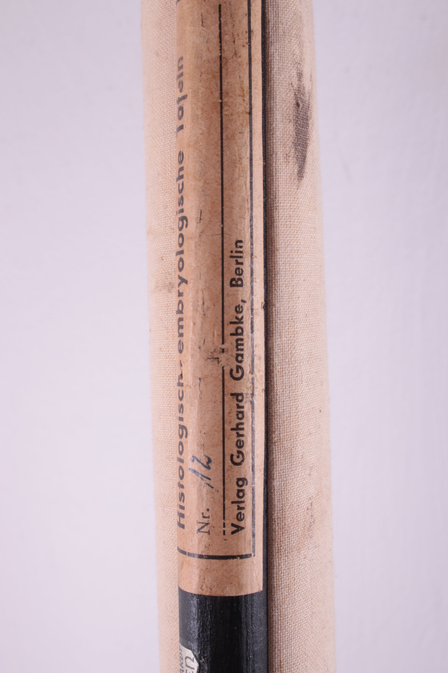 Biologische wand schoolkaart W.Gummert kikker vintage 60s detail foto tekst