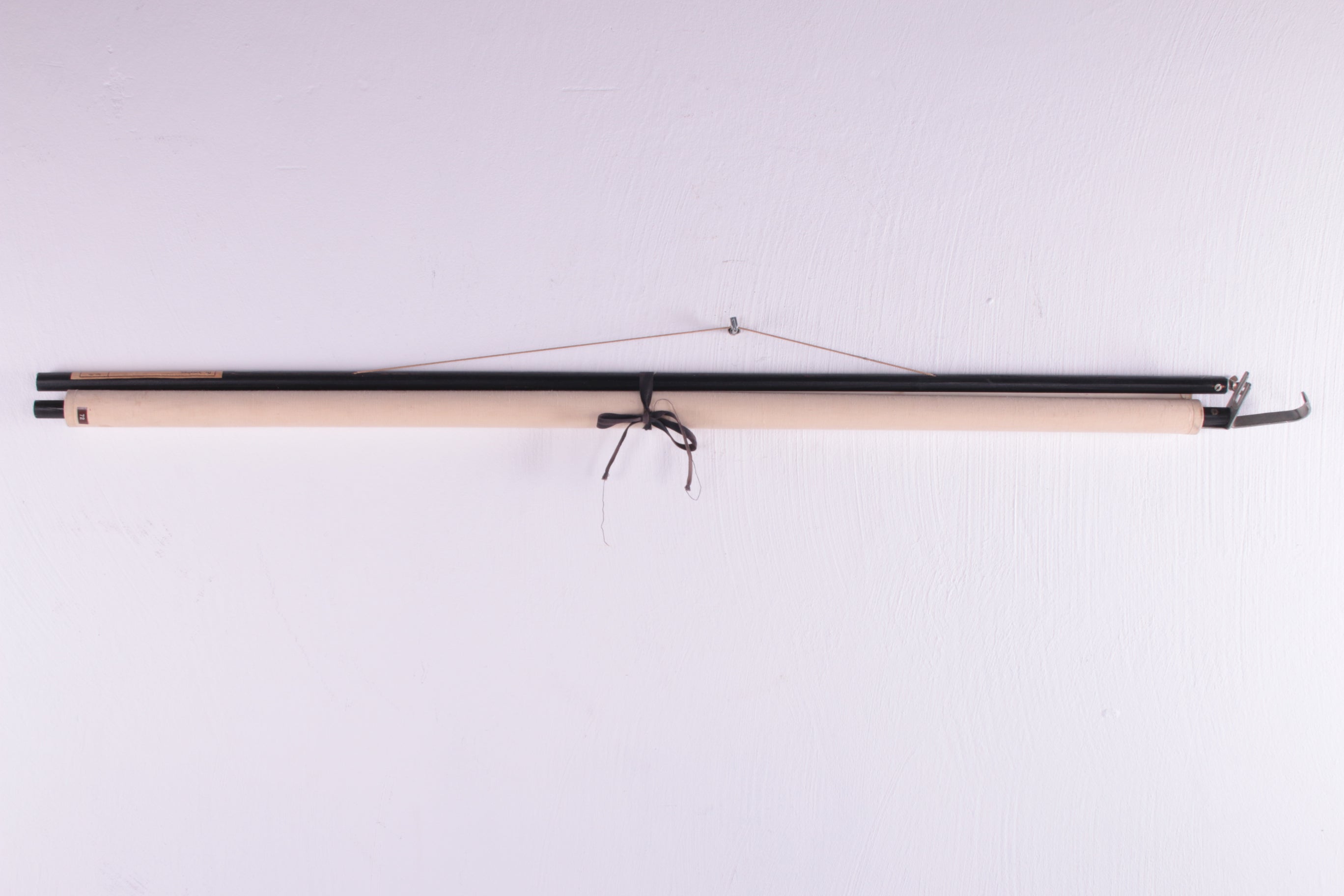 Biologische wand schoolkaart W.Gummert kikker vintage 60s dicht